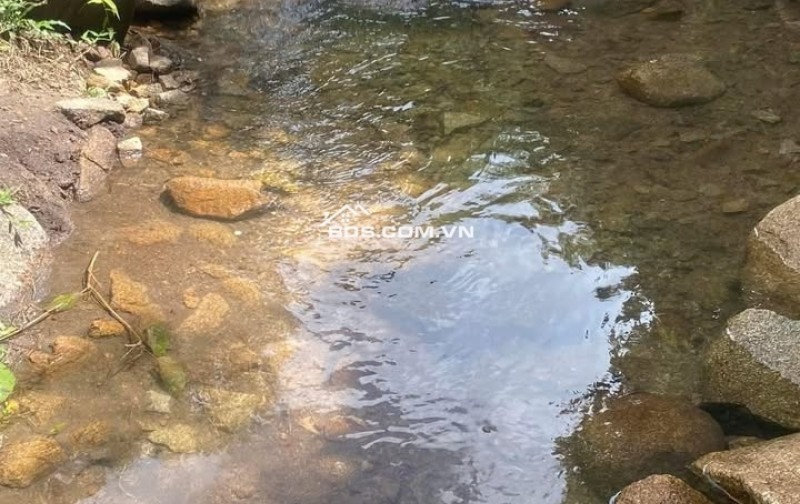 Đất Đẹp La Ngà – Sổ Riêng, View Chill, Đường Ô Tô – Chính Chủ Sang Nhượng